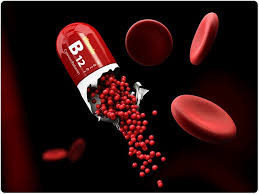 B 12